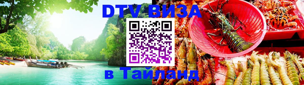 Сколько стоит DTV виза — актуальные цены, оформление даже без документов - Калининград 